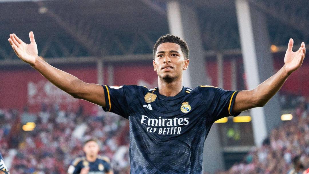 社会的广泛 社会的广泛