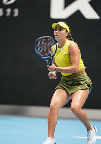 球迷的热切 球迷的热切