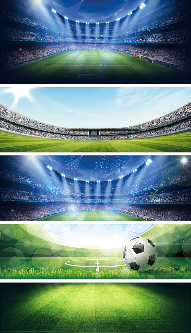 他运动能力 他运动能力